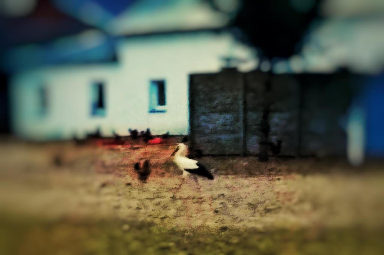 Home&Slow Life Gdańsk Exteriör bild